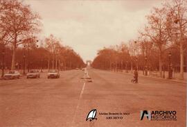 París 1981