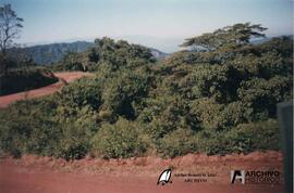 Aniversario Ledesma, Jujuy 1998