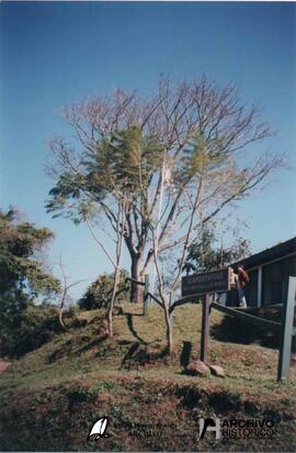 Aniversario Ledesma, Jujuy 1998