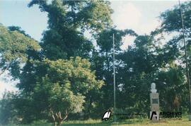 El Dorado, Misiones (Universidad – Facultad de Ciencias Forestales) 2001
