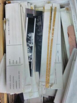 Ingreso de fotografías del F-MCPBA