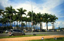 Proyecto Educativo Amnistía – Día Internacional de la mujer – Brasilia 2008