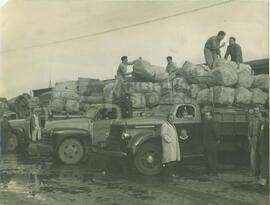 Fundación Eva Perón Varios