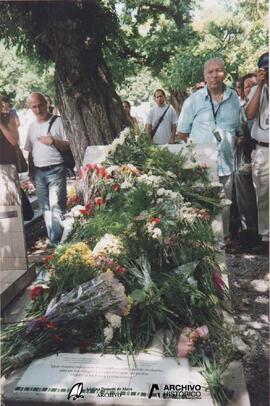 Cementerio 2007