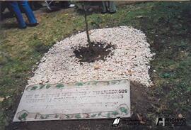 Escuela Anexa- Planta por la memoria 2006